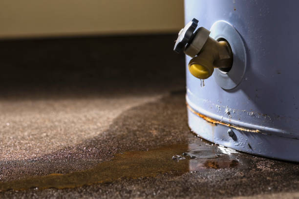 Best Sewage cleanup and water damage restoration  in Winchester, IL