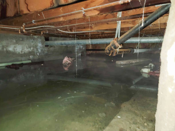 Best Flooded house restoration  in Winchester, IL