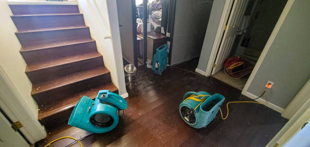 Best Residential water damage restoration  in Winchester, IL