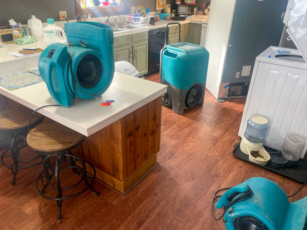 Best 24-hour water damage restoration  in Winchester, IL