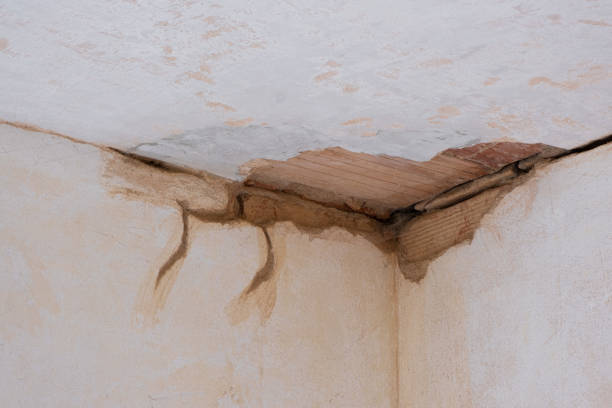 Best Professional water damage repair  in Winchester, IL