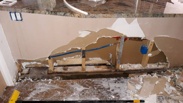 Best Ceiling water damage repair  in Winchester, IL