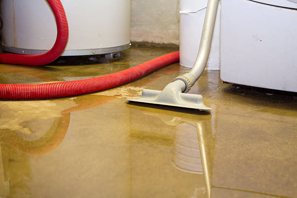 Best Flood damage cleanup  in Winchester, IL