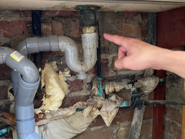 Reliable Winchester, IL Water damage restoration Solutions