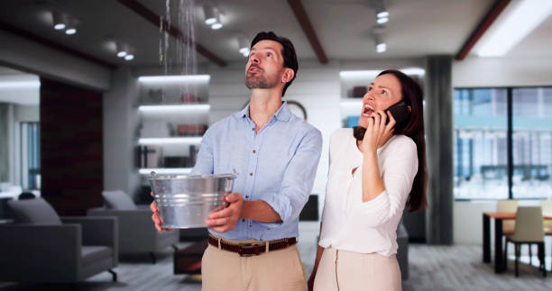 Best Basement water damage restoration  in Winchester, IL