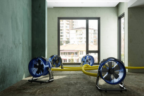 Best Water damage contractors near me  in Winchester, IL
