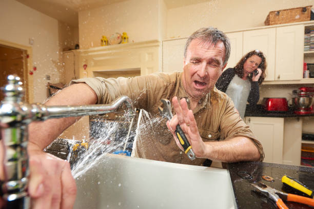 Best Water damage restoration near me  in Winchester, IL
